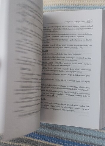 Diş Anatomisi