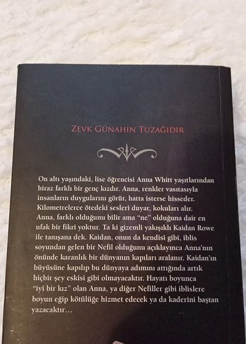  Beden Tatlı Şeytan - Wendy Higgins
