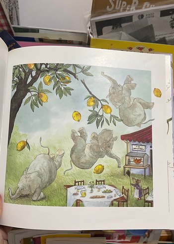 Beden Renk Meyveleri Kim Yemiş?,3-8 yaş çocuk kitabı,Muhteşem görseller