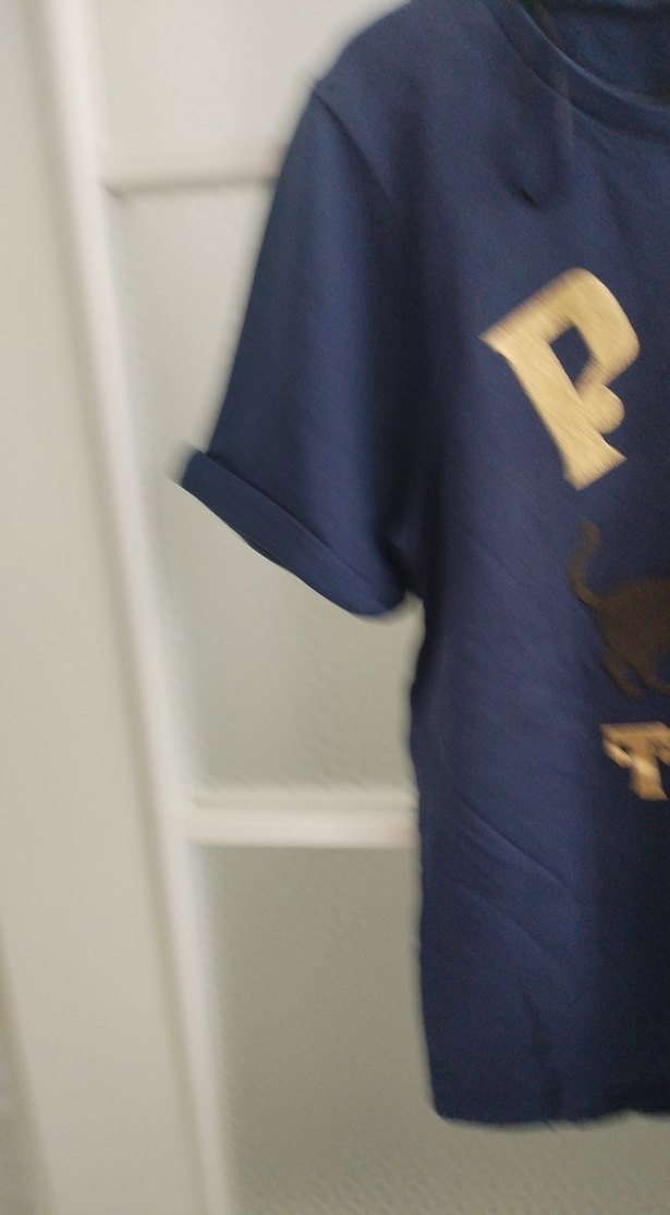 Parlak Mavi Baskılı Sokak Stili Kedi Kıyafeti - Görsel 3