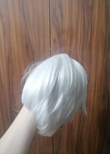 Houseki no Kuni (Land of The Lustrous) Antarcticite Peruk Wig - Görsel 5