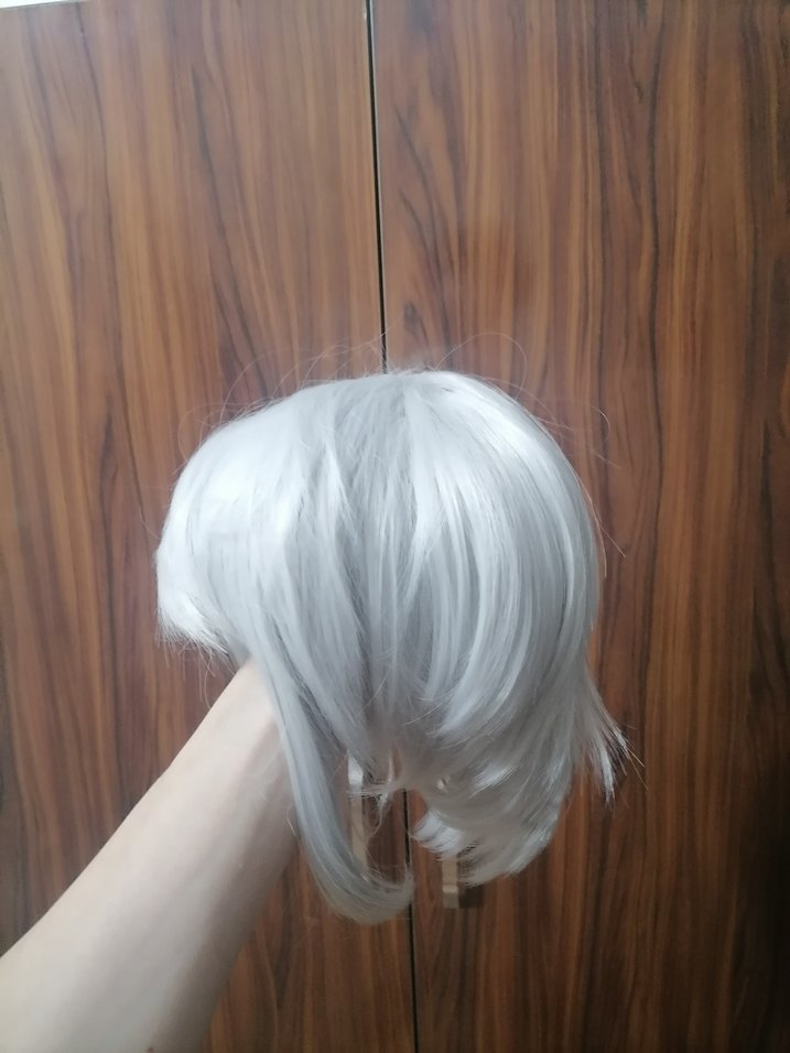 Houseki no Kuni (Land of The Lustrous) Antarcticite Peruk Wig - Görsel 2