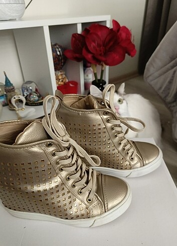 Altın Ayakkabı - Görsel 6