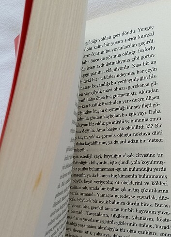  Beden Çember - Dave Eggers