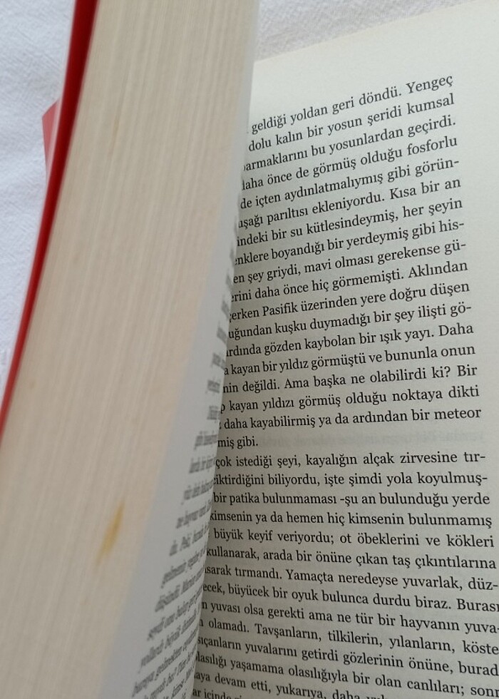 Çember - Dave Eggers - Görsel 3