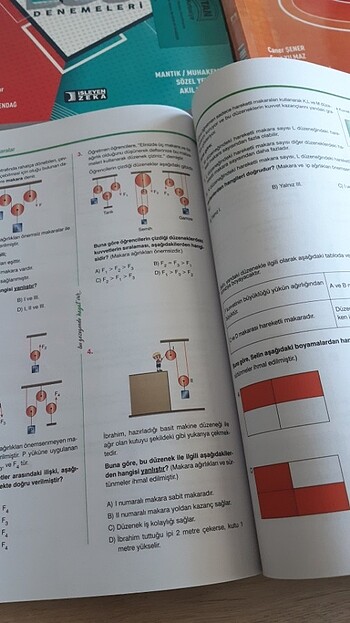 Lgs fen bilimleri - Görsel 7