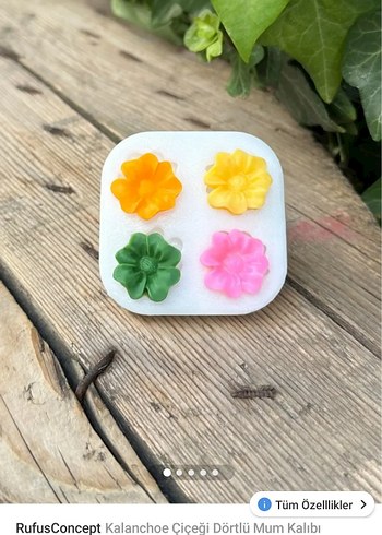 Kalanchoe Çiçeği Dörtlü Mum Kalıbı