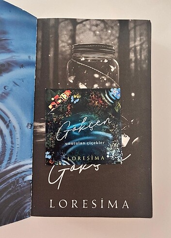  Gökçen 1/ Loresima
