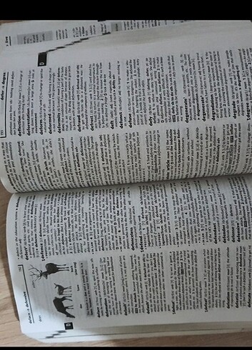 Beden Oxford wordpower dictionary