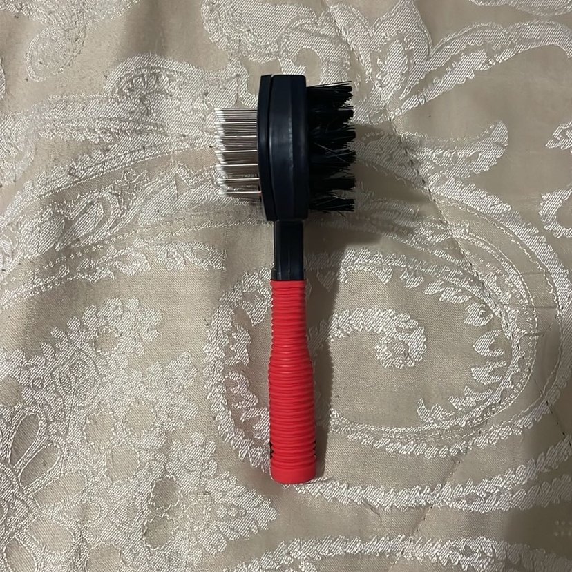 Kedi Tarağı - Görsel 3