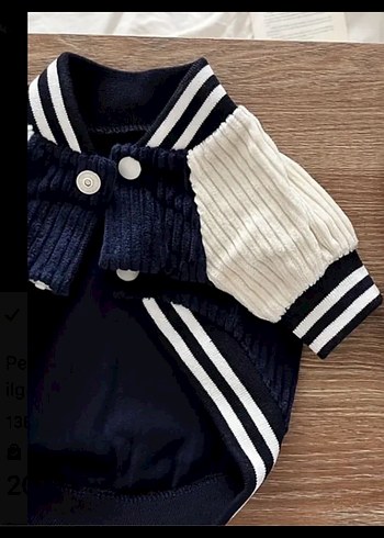 Gri Tüylü Normcore Köpek Kıyafeti - Görsel 3