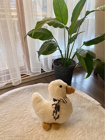 Oyuncak peluş ördek