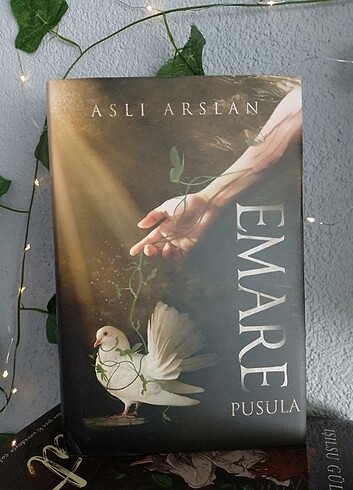 Aslı Arslan Emare serisi.
