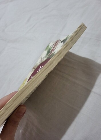 Nefi Sihamı Kaza Sansürsüz Kitap - Görsel 2