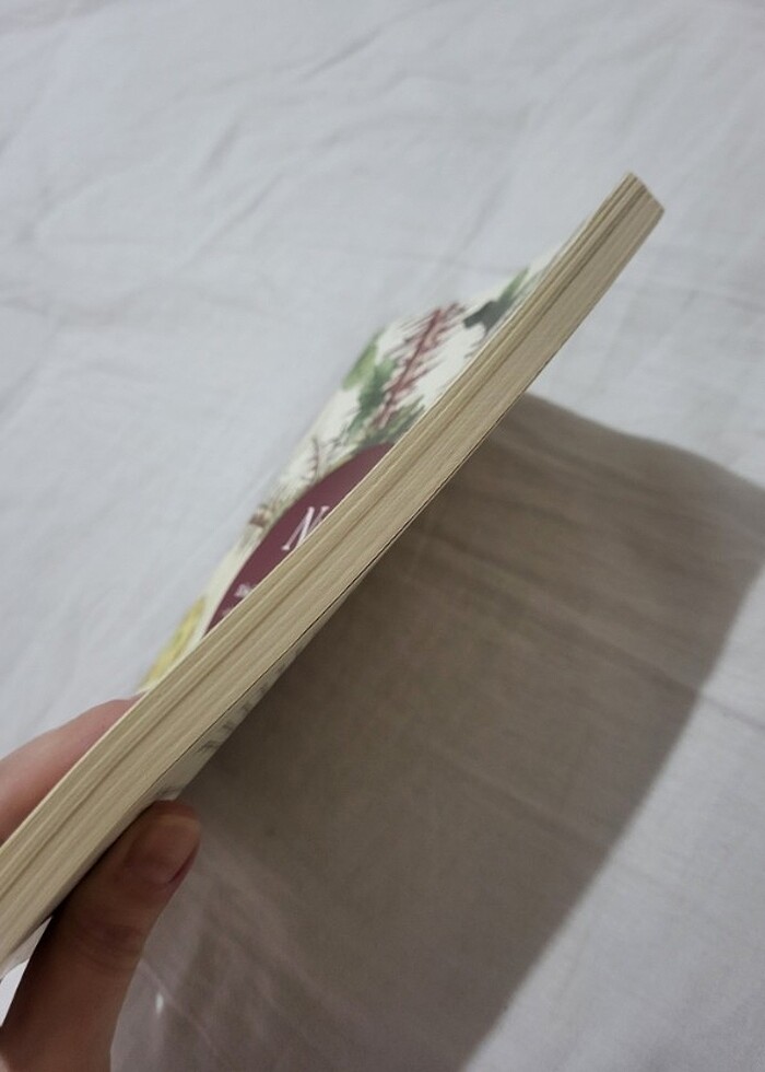 Nefi Sihamı Kaza Sansürsüz Kitap - Görsel 2