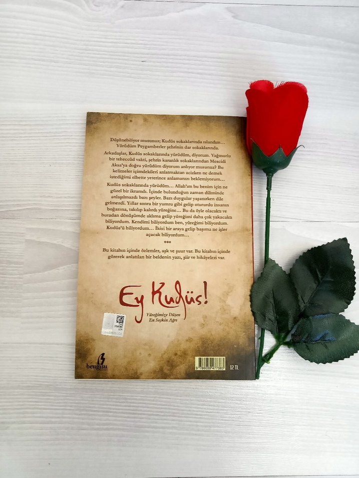 Ey Kudüs - Mehmet Deveci - Görsel 2