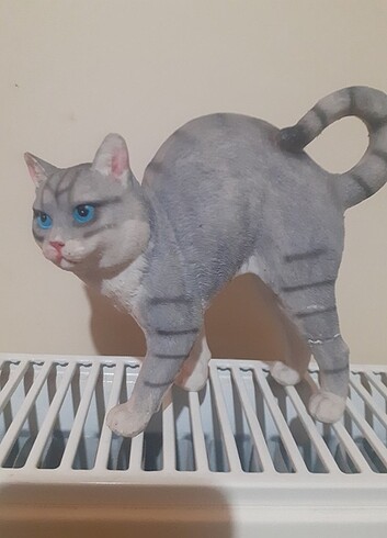 Sus kedii