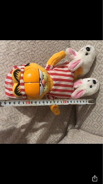  Beden Garfield