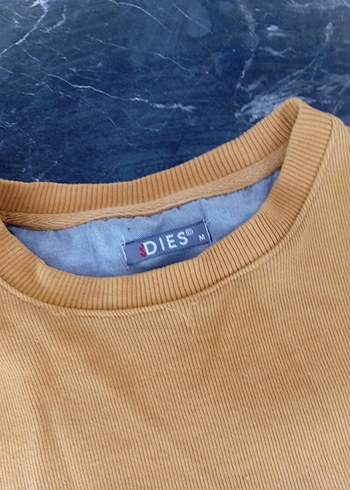 Diğer Bej Erkek Sweatshirt, Bisiklet Yaka, Rahat Kesim