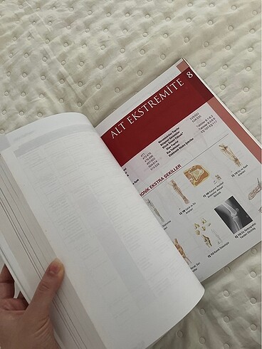 Anatomi Atlası - Görsel 4