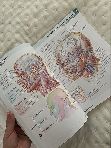 Anatomi Atlası - Görsel 3