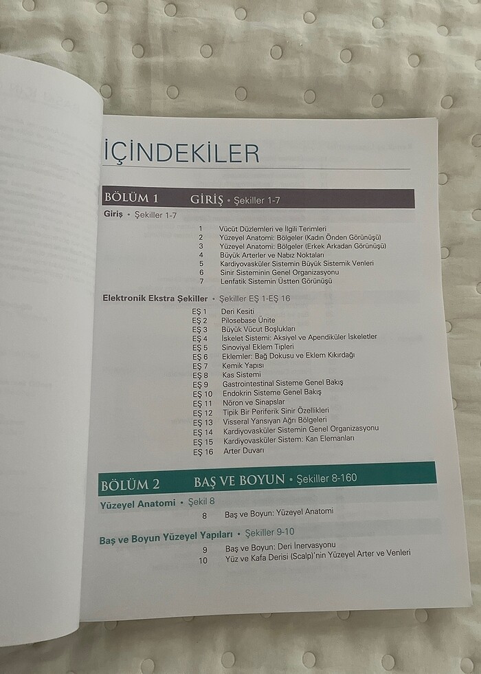 Anatomi Atlası - Görsel 2