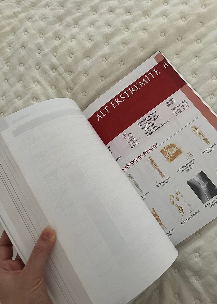 Anatomi Atlası - Görsel 4