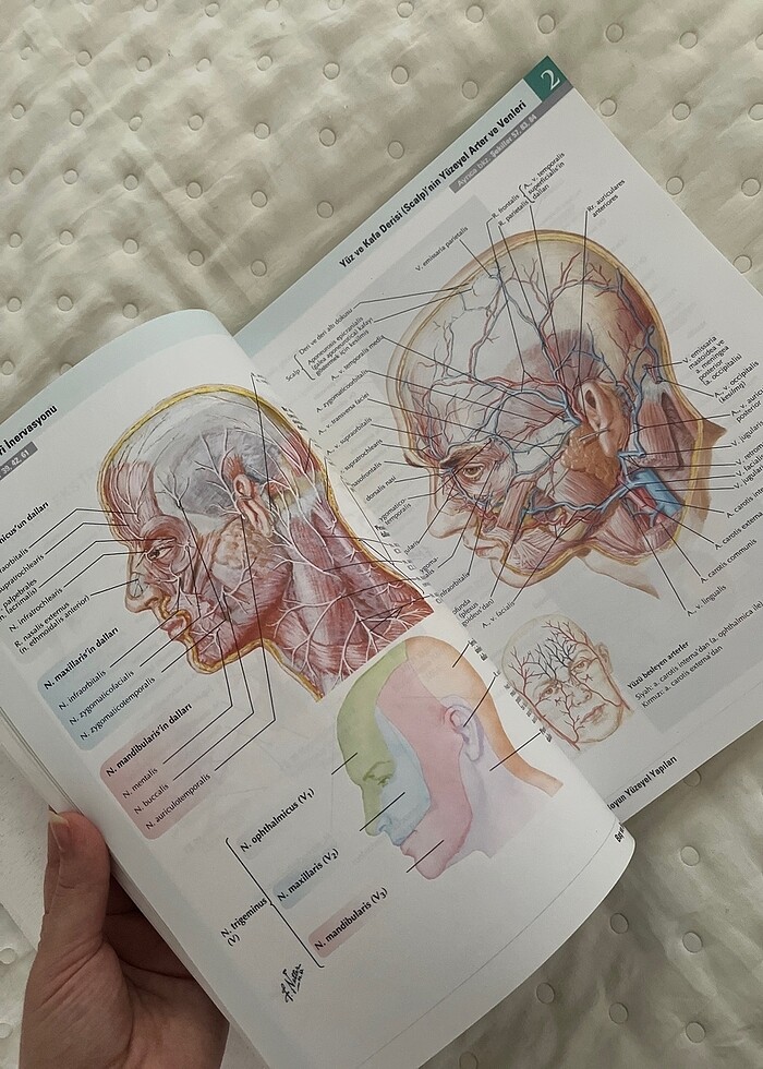Anatomi Atlası - Görsel 3