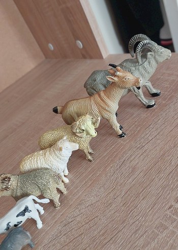 Farklı Hayvan Figürleri Seti - Görsel 16