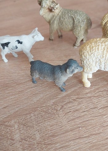 Farklı Hayvan Figürleri Seti - Görsel 6