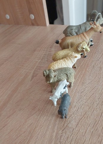 Farklı Hayvan Figürleri Seti - Görsel 19