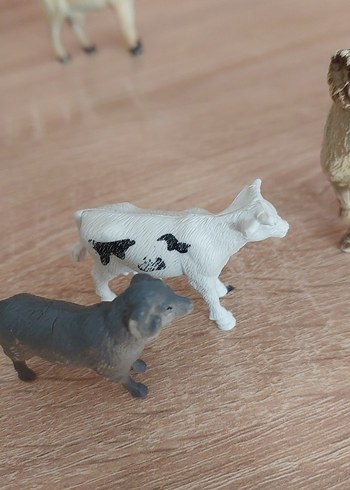 Farklı Hayvan Figürleri Seti - Görsel 14