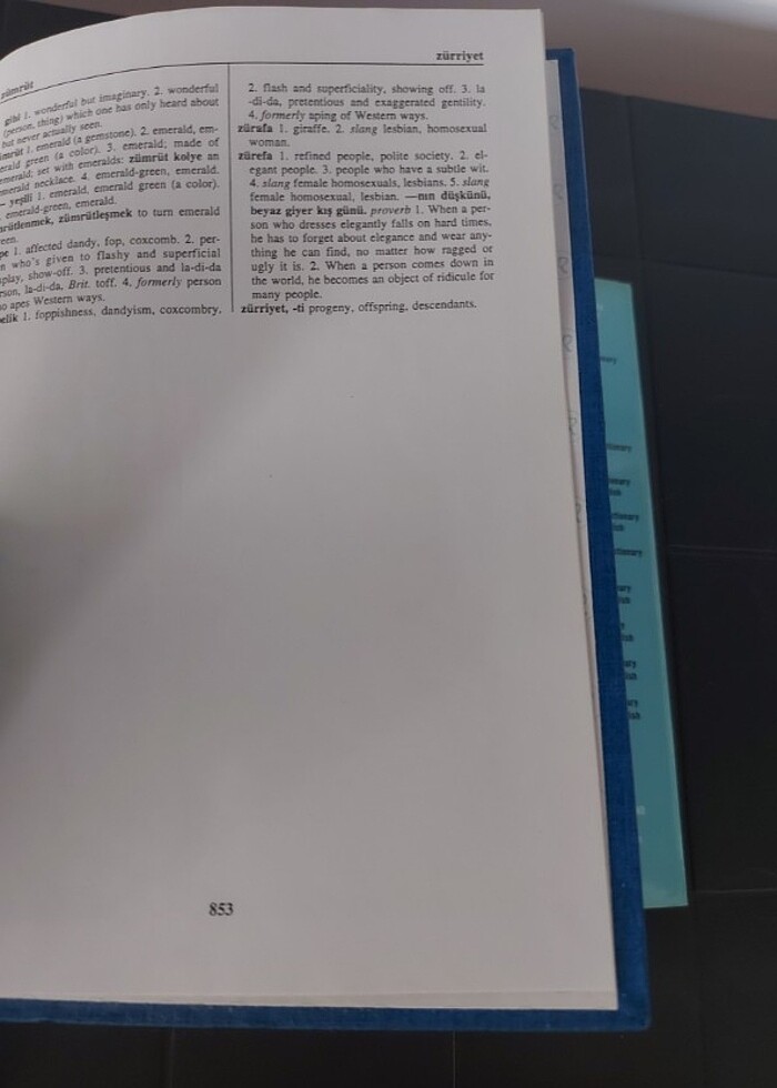Redhouse İngilizce-Türkçe/ Türkçe-İngilizce Büyük El Sözlüğü - Görsel 5
