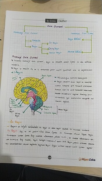 Beden TYT AYT BİYOLOJİ İÇİ DOLU DEFTER
