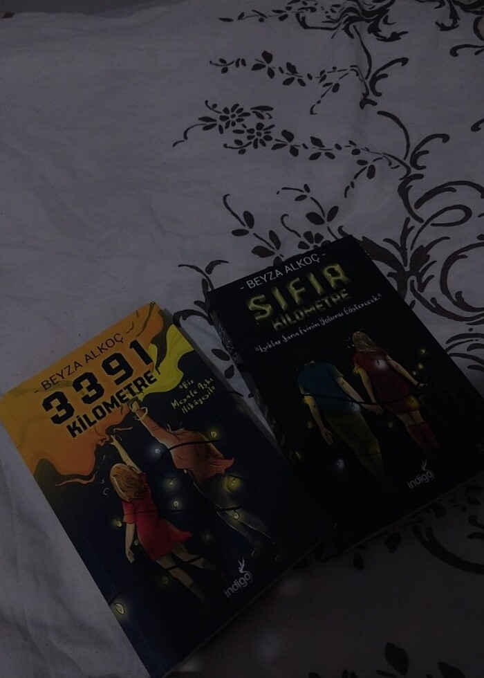 3391 kilometre/sıfır kilometre kitap Beyza alkoç - Görsel 2