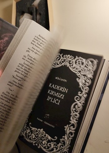 Kaybolmuş Ruhlar Sarayı - Dilara Keskin - Görsel 5