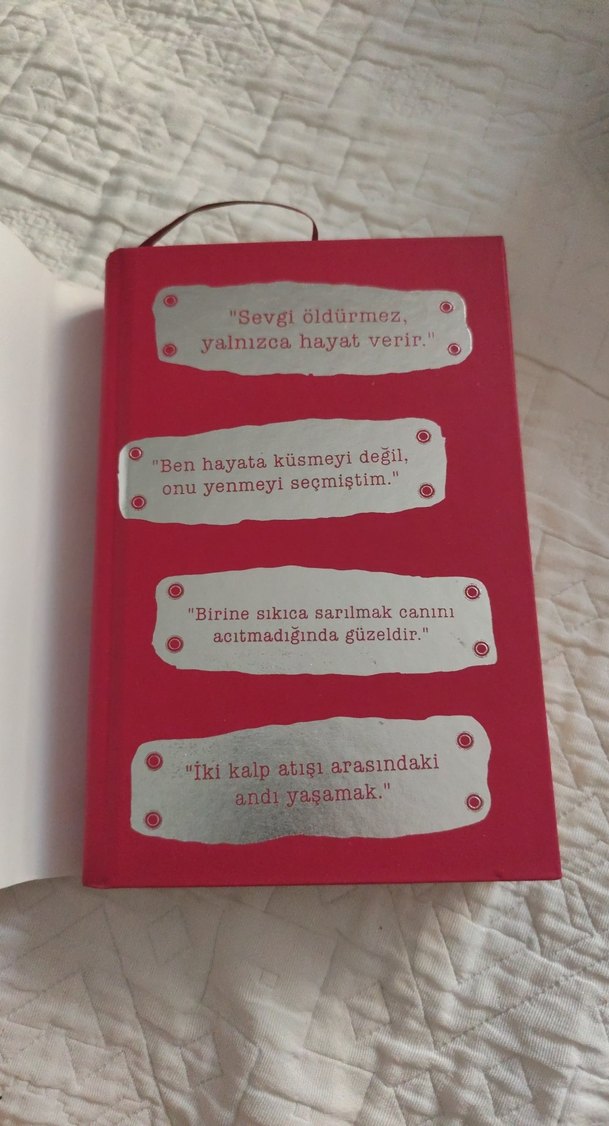 Rüzgarı Yaşamak - K. Kobra Berk - Görsel 2