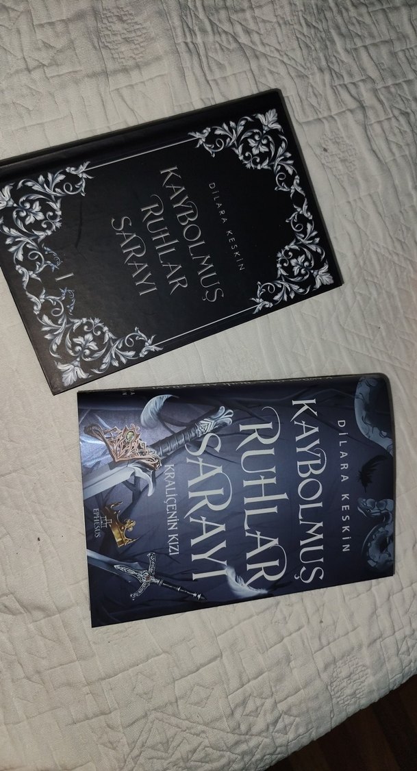 Kaybolmuş Ruhlar Sarayı - Dilara Keskin - Görsel 3