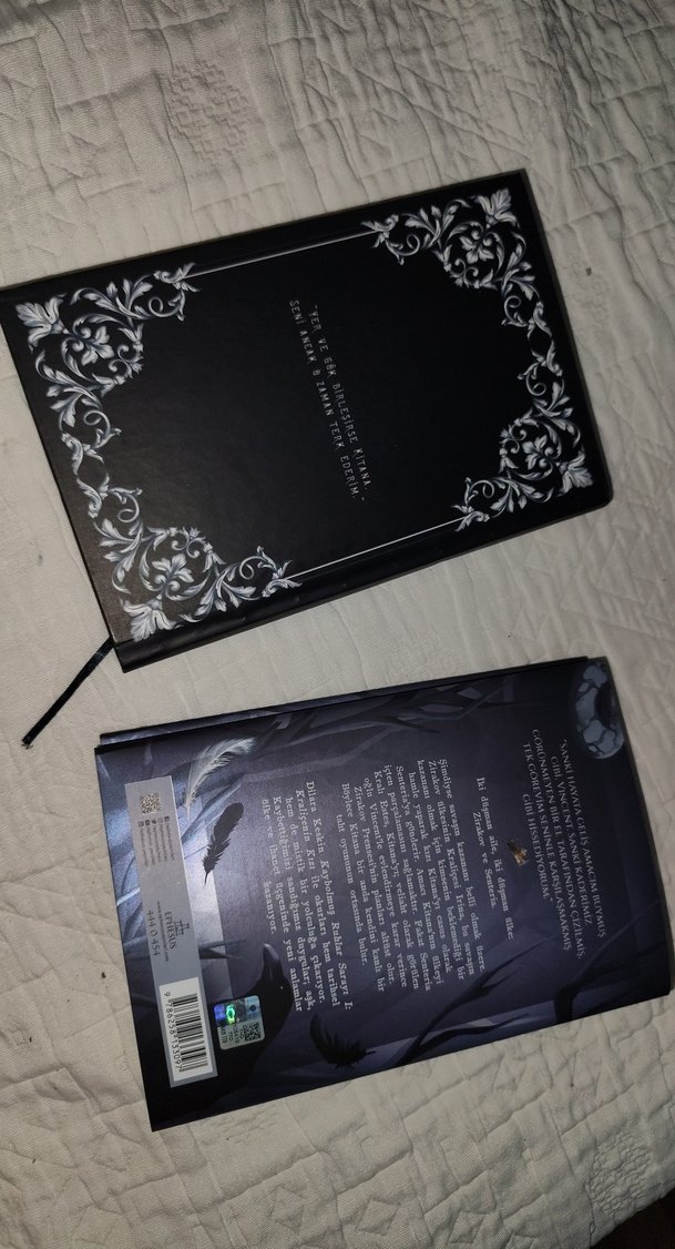 Kaybolmuş Ruhlar Sarayı - Dilara Keskin - Görsel 4