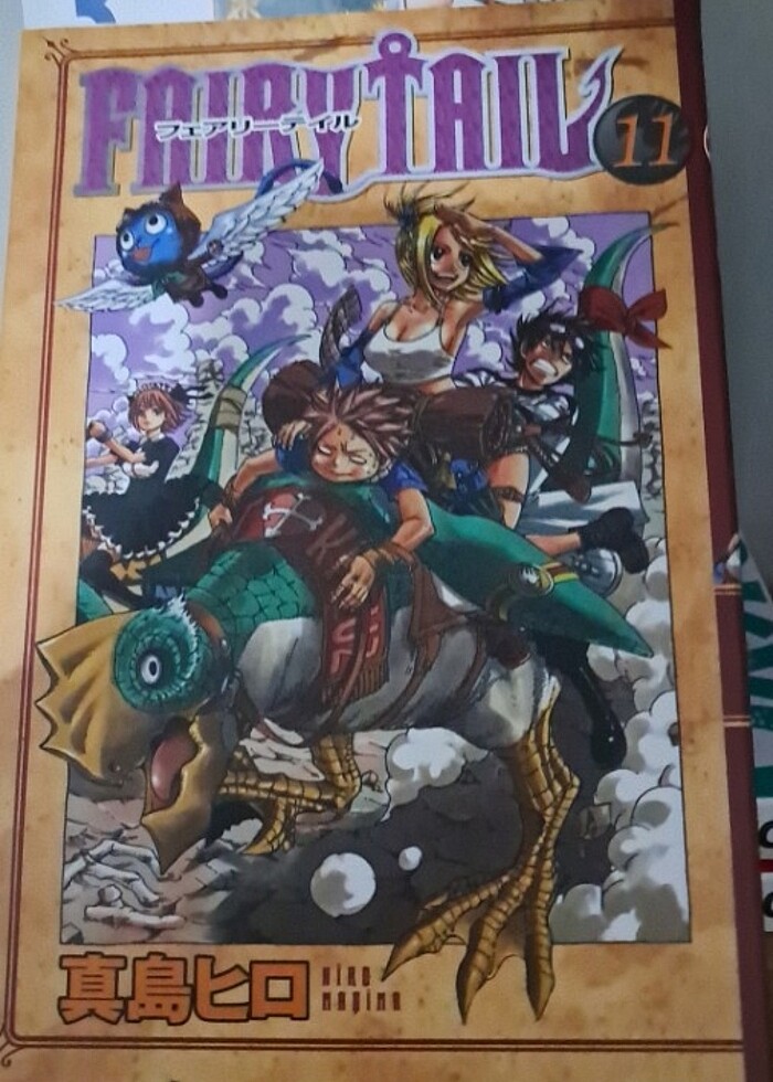 Fairy Tail Manga - Görsel 2