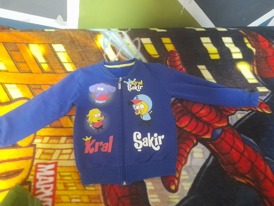 Çocuk Mavi Kapüşonlu Fermuarlı Sweatshirt 3-4 yaş - Görsel 2