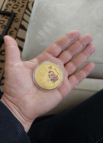 Beden Renk Yılan yılı madolyon