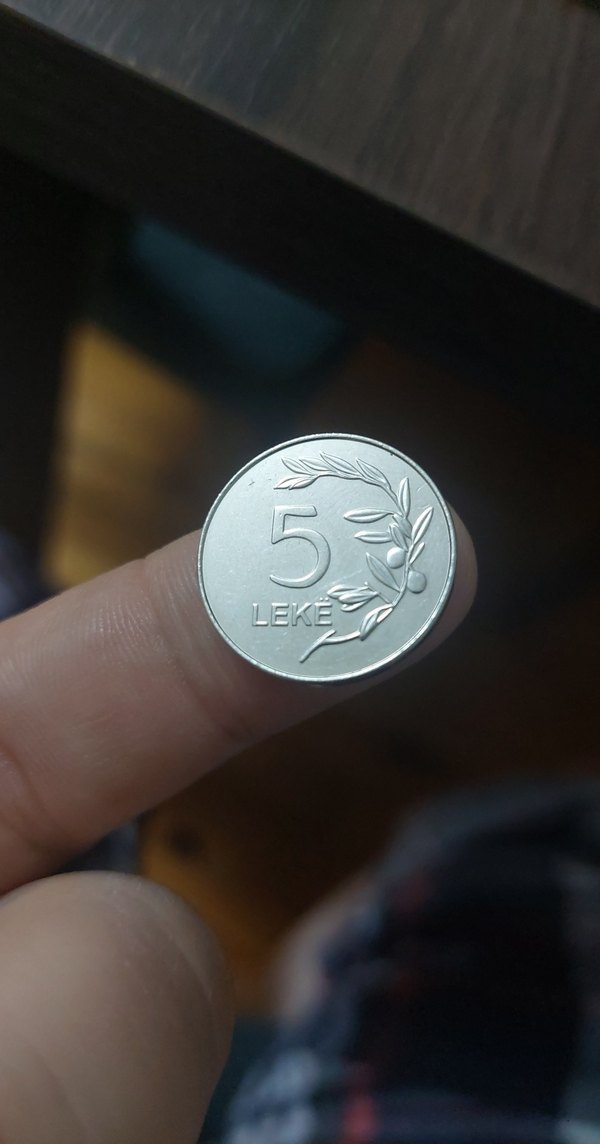 Arnavutluk madeni para. Çil - Görsel 2