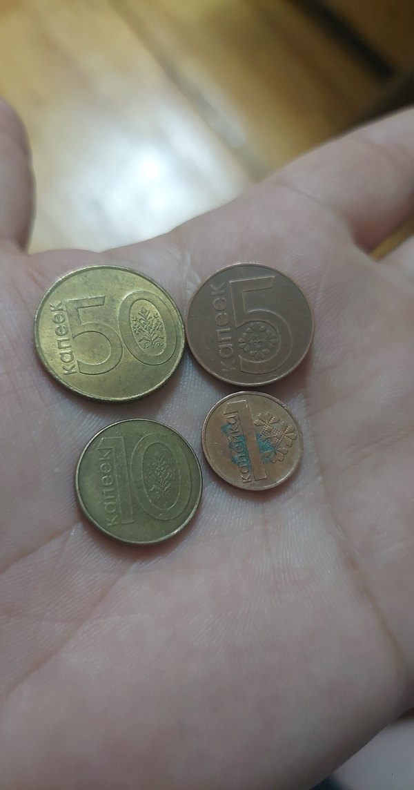 Belarus Madeni paraları koleksiyon- 4 Parça - Görsel 2