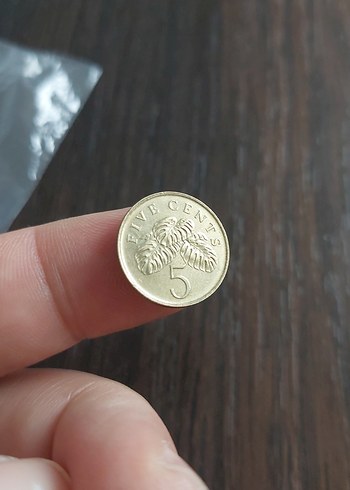 Singapur madeni  para koleksiyon - Görsel 2