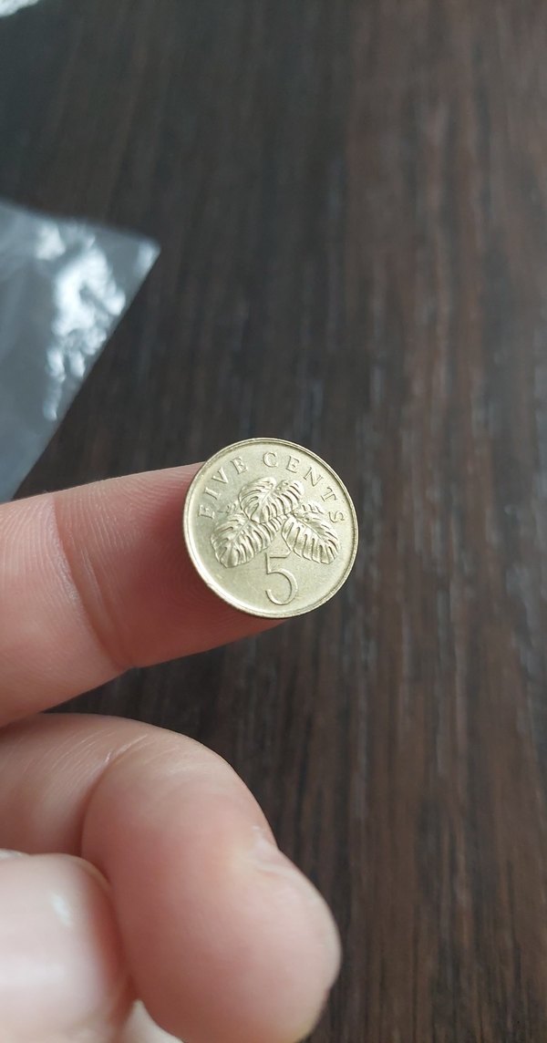 Singapur madeni  para koleksiyon - Görsel 2