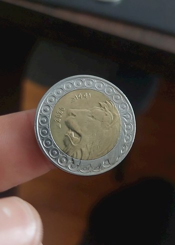 Cezayir 20 Dinar koleksiyon