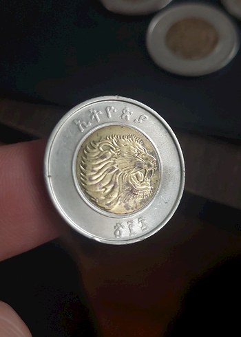 Etiyopya 1 Aslanlı Birri