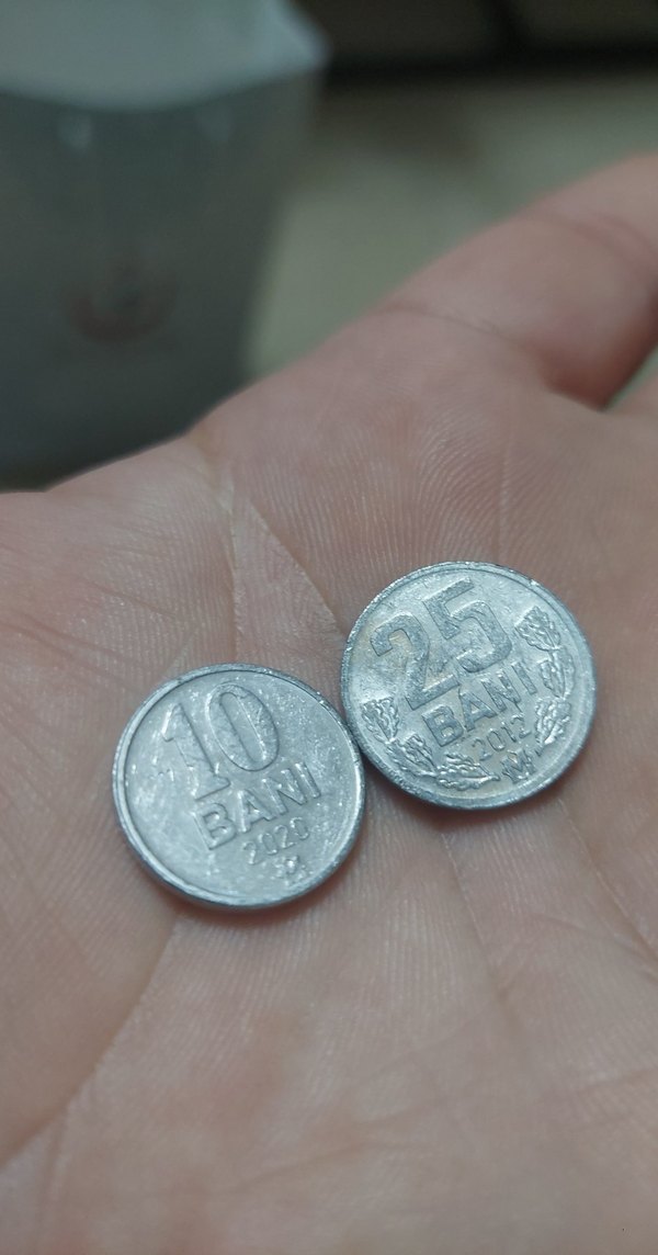 Moldova Madeni para koleksiyonu 2 adet fiyatıdır - Görsel 2