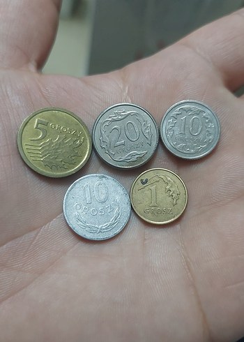Polonya Madeni Paraları koleksiyon 5 adet fiyatıdır